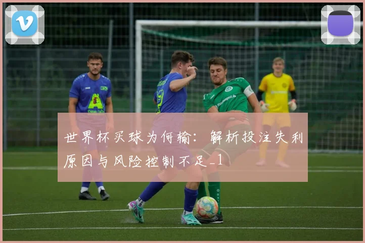 世界杯买球为何输:解析投注失利原因与风险控制不足_1
