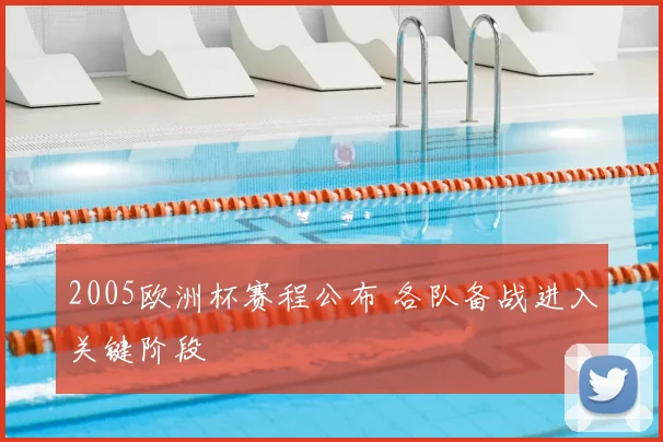 2005欧洲杯赛程公布 各队备战进入关键阶段