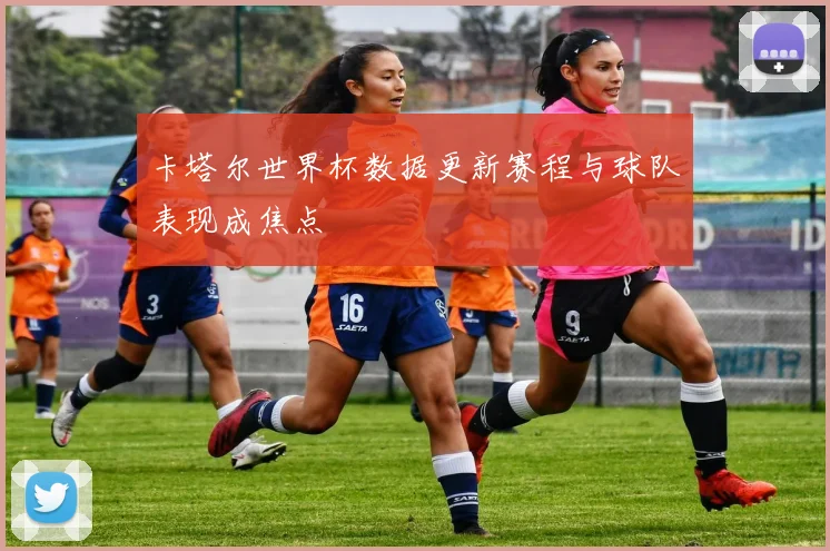 卡塔尔世界杯数据更新赛程与球队表现成焦点