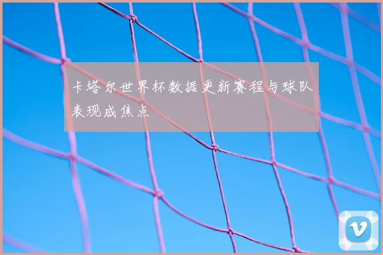 卡塔尔世界杯数据更新赛程与球队表现成焦点